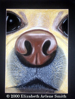 Tink Up-close by Elizabeth Smith