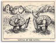 Battle of the Wits - click on the thumbnail to view the enlarged version