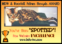 Website Excellence