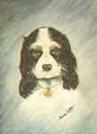 The dog Alex