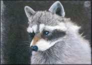 Tim Ernst