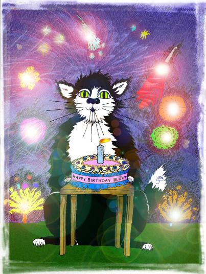 November Cat - click on the thumbnail to view the enlarged version