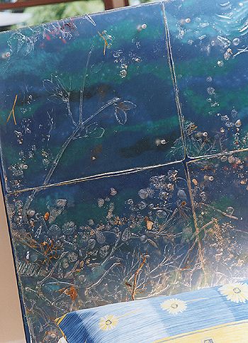 Bayside Bedhead by Dina Goebel - click on the thumbnail to view the enlarged version