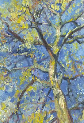Birch by Marjolein Kruijt