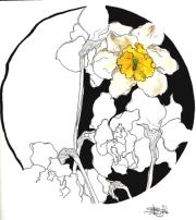 Daffodils by Shirl Sazynski