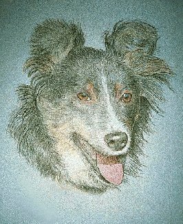 Dog Portrait - click on the thumbnail to view the enlarged version