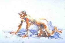 Forward retreat   - click on the thumbnail to view the enlarged version