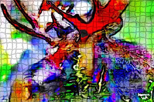 Moose - click on the thumbnail to view the enlarged version