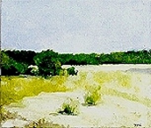 Island Landscape II  by Jan-Thomas Olund