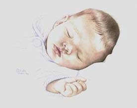 Sleeping Baby - click on the thumbnail to view the enlarged version